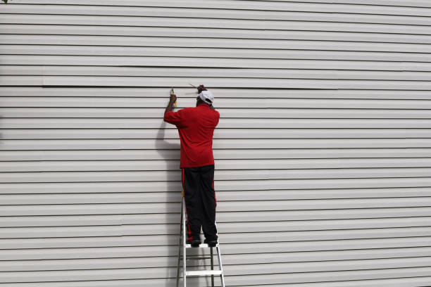 Best Siding Painting and Refinishing  in Frederick, CO