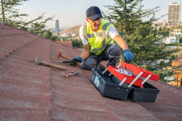 Best Insulated Siding Installation  in Frederick, CO